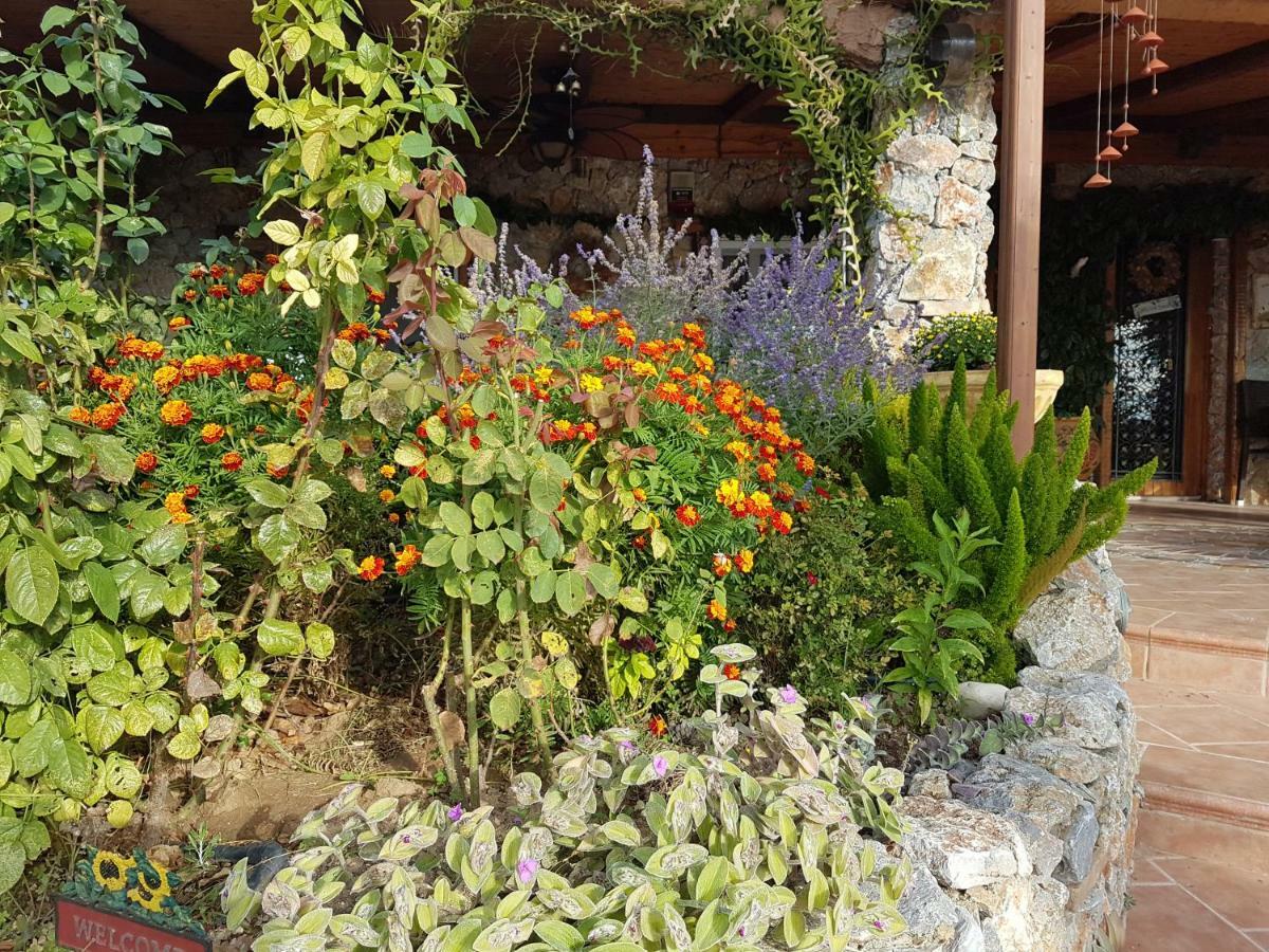 Nadia'S Traditional Greek House Anavyssos Exterior photo