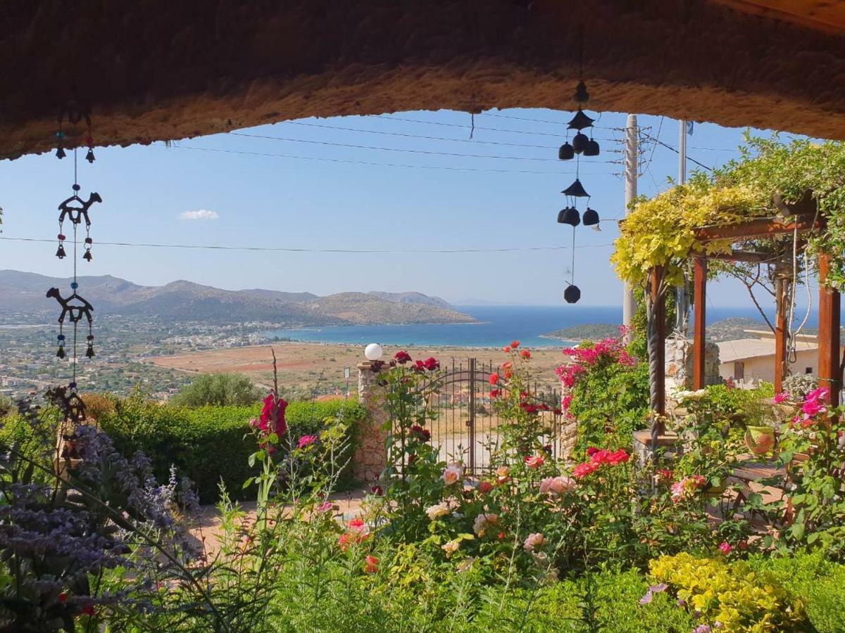 Nadia'S Traditional Greek House Anavyssos Exterior photo