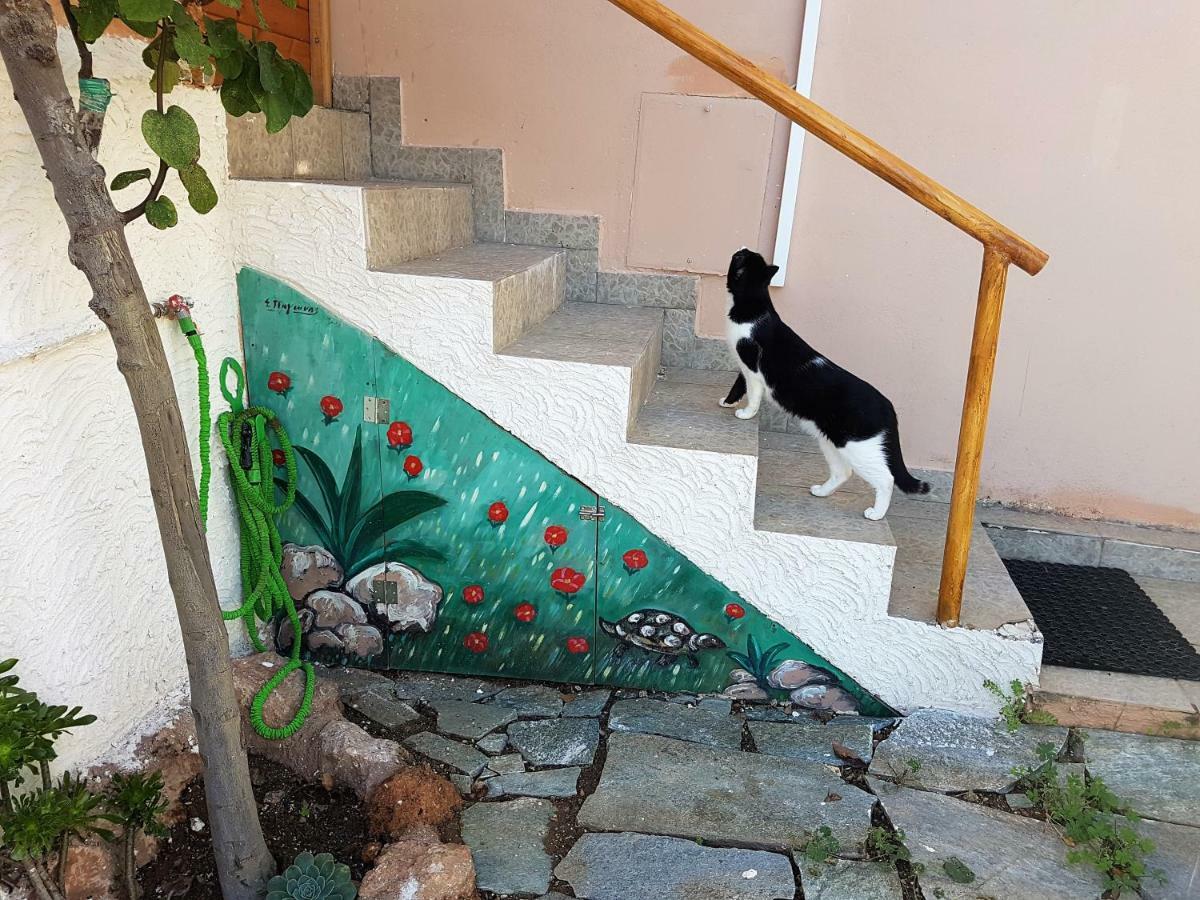 Nadia'S Traditional Greek House Anavyssos Exterior photo